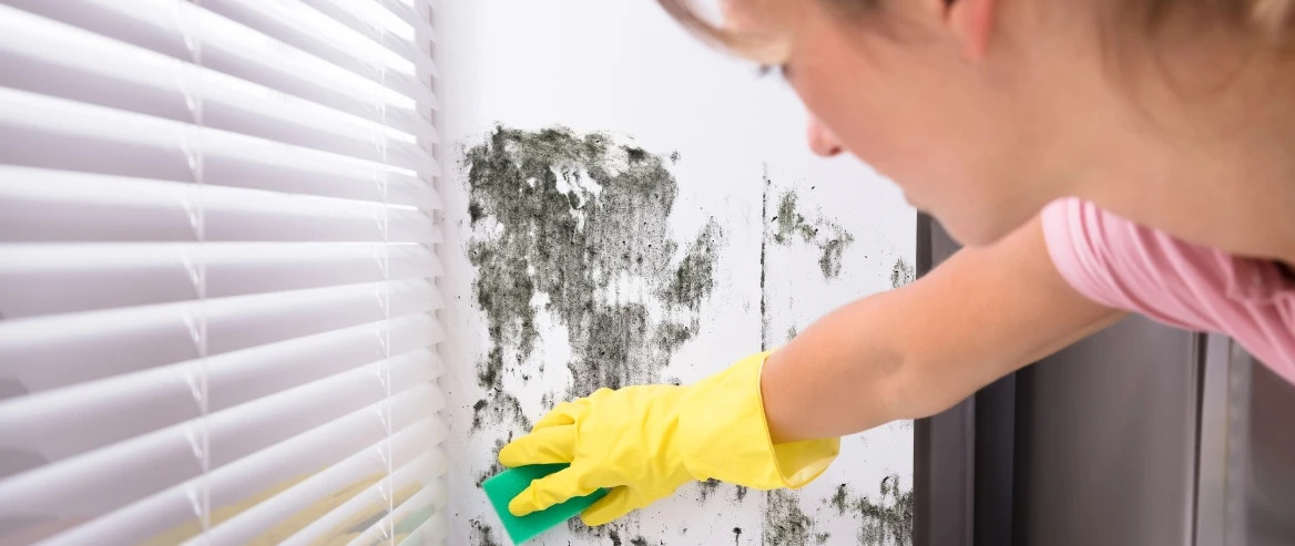 Woman With Gloved Hand Wipes Mouldy Wall Near Window With Sponge