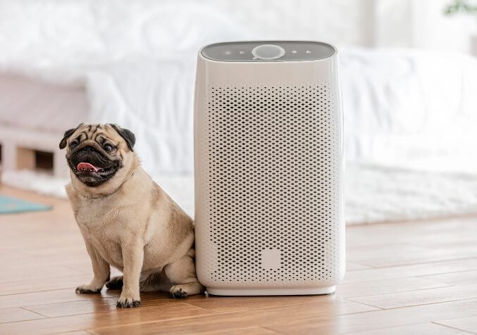 Air Purifiers with Hepa Filter