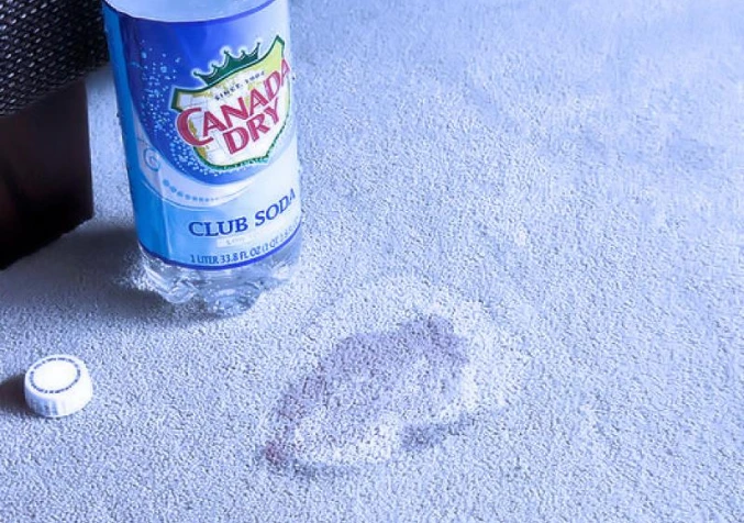 how to treat pet urine stains on carpet with soda water
