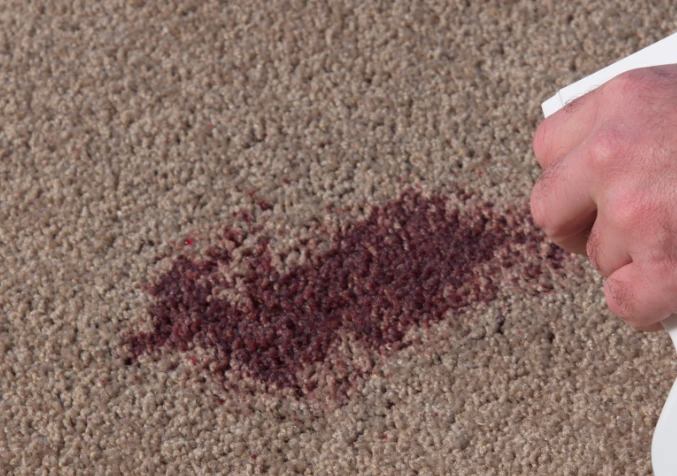spraying dry red wine stain on carpet with cleaning solution