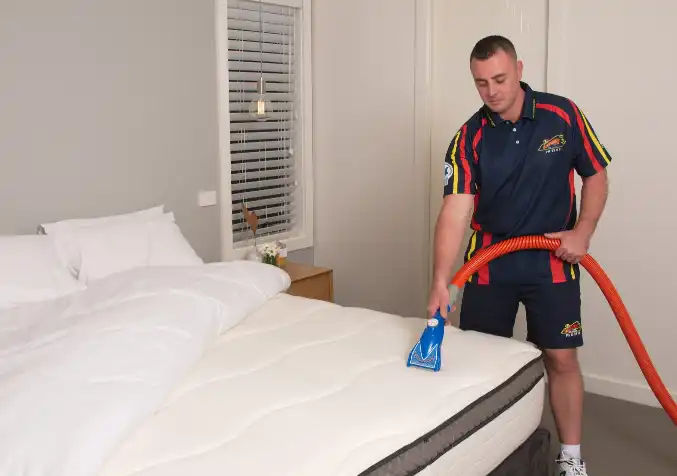 Electrodry's Mattress Cleaning Service