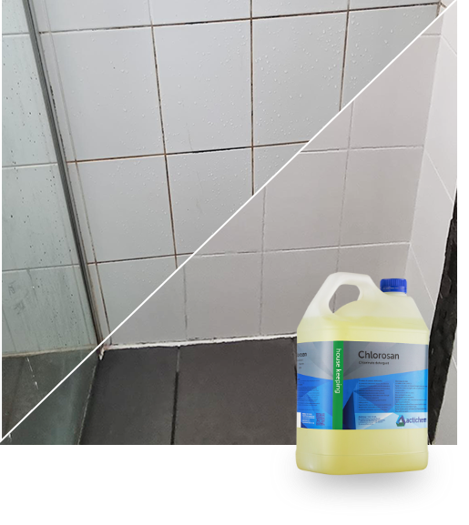 tile and grout mould cleaning bundaberg qld