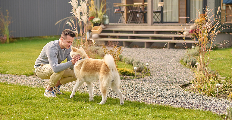 Man outdoors with dog sitting on lawn during toilet training session.