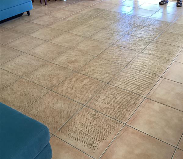Tile Cleaning 4 Before
