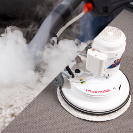 professional carpet cleaners ormeau area