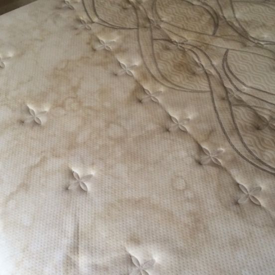 Steam Clean Mattress Melbourne 1