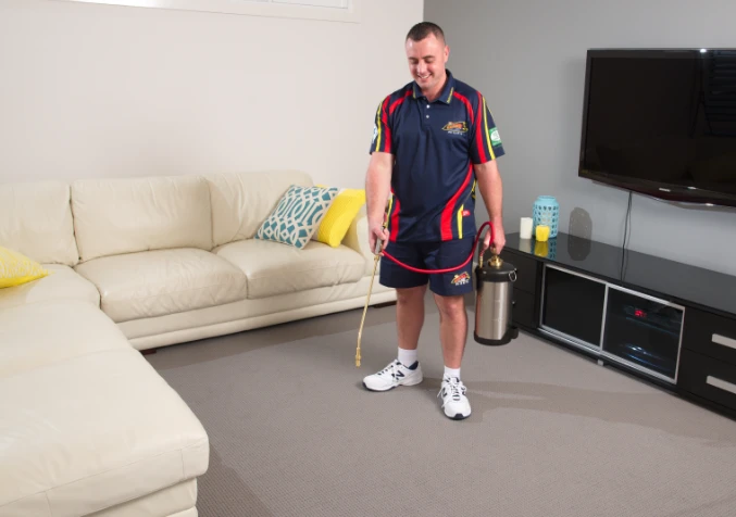 Electrodry technician spraying cleaning solution on carpet