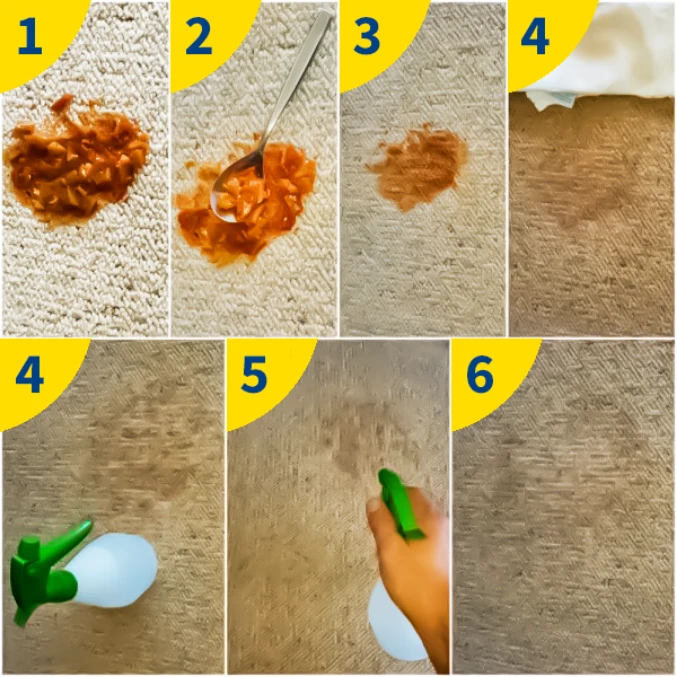 step by step guide to removing salsa stain on carpet