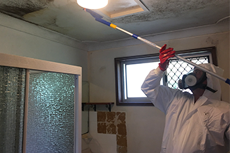 mould-cleaning-nd-treatment-homepagee-card.png