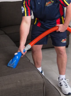 Sofa Stain Protection service in Cremorne