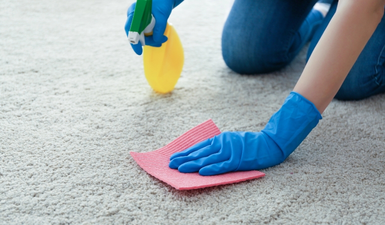 Safety tools and cleaning checklist before starting blood stain removal.
