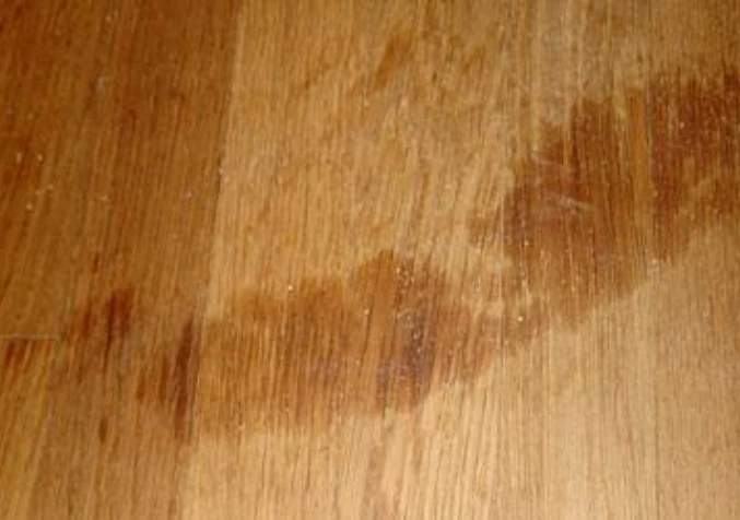 grease stained wood floors