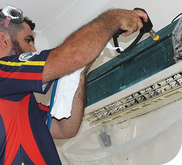 mould cleaning
