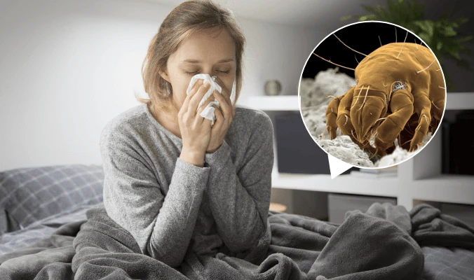 sneezing due to dust mites in mattress