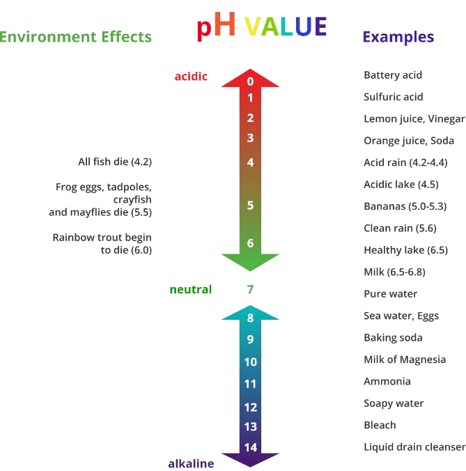 pH value chart of everyday household items