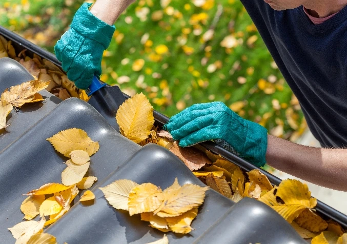 professional gutter cleaning