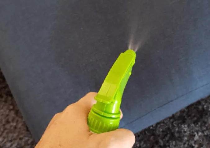 spraying a urine soaked couch cushion with a vinegar solution
