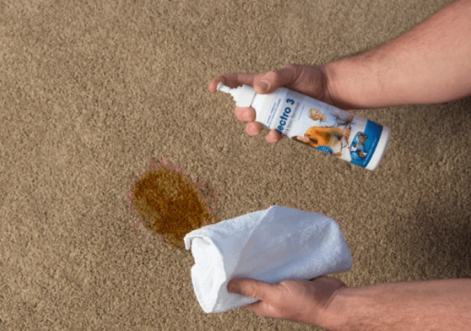 treating dried beer stain on carpet