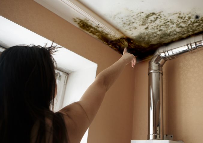 how to prevent mould during winter