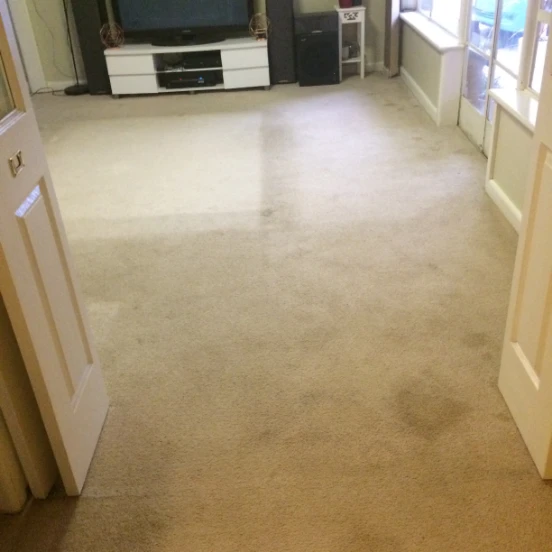 7 Carpet Before