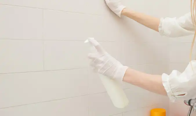 Correct Grout Cleaner
