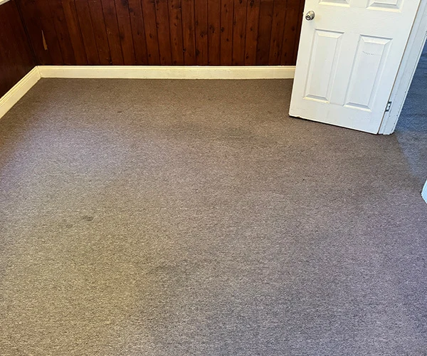Carpet Cleaning 03 After