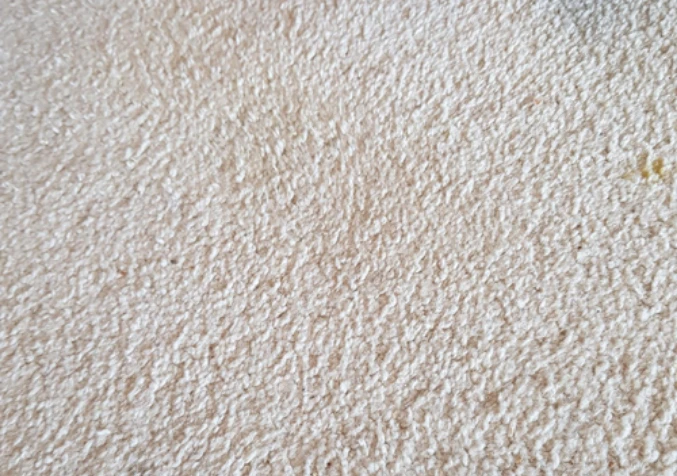orange juice stain on carpet after stain treatment