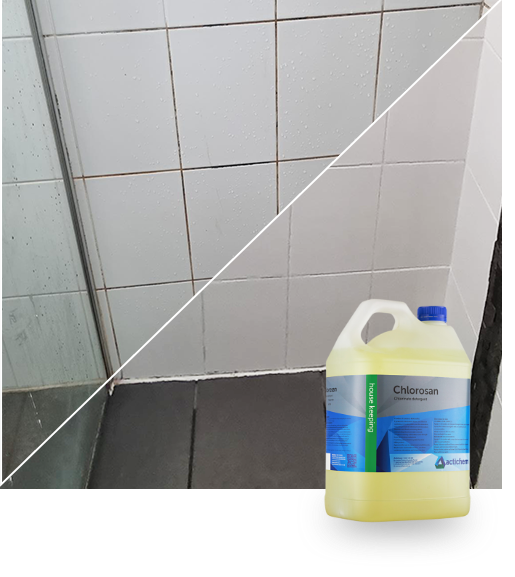 tile and grout mould cleaning taree