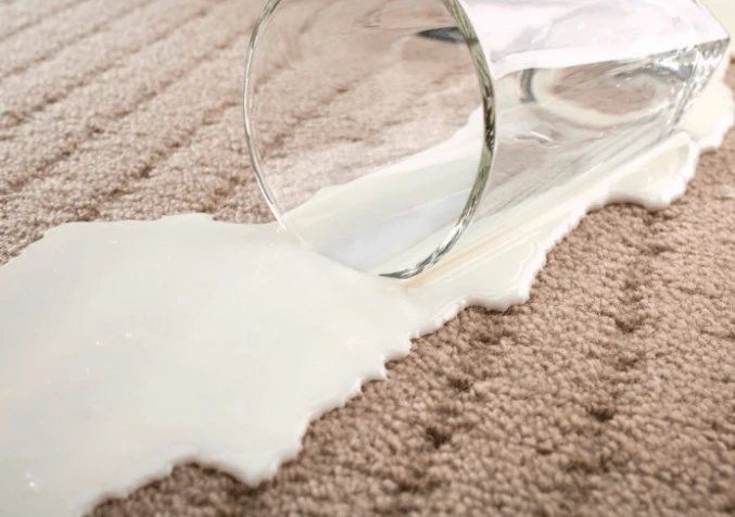 spilled milk on carpet