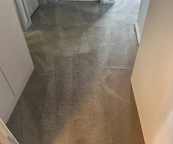 Carpet Cleaning 04 After