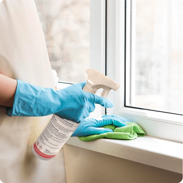 Woman With Blue Rubber Gloves Spraying E Liminate Product Edry