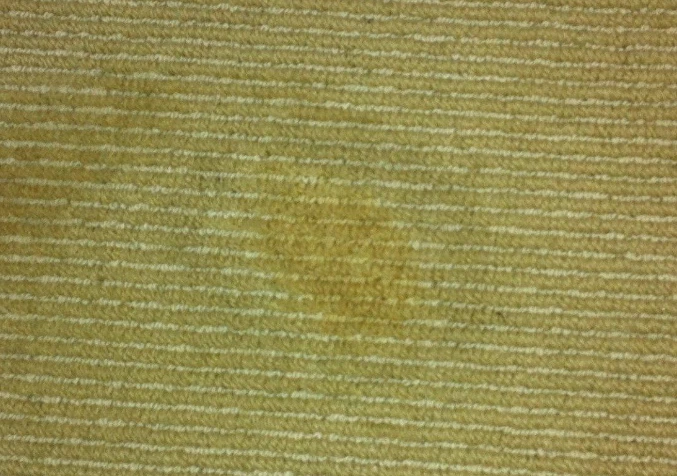 bleached carpet after using Easy Off Bam and Gumption