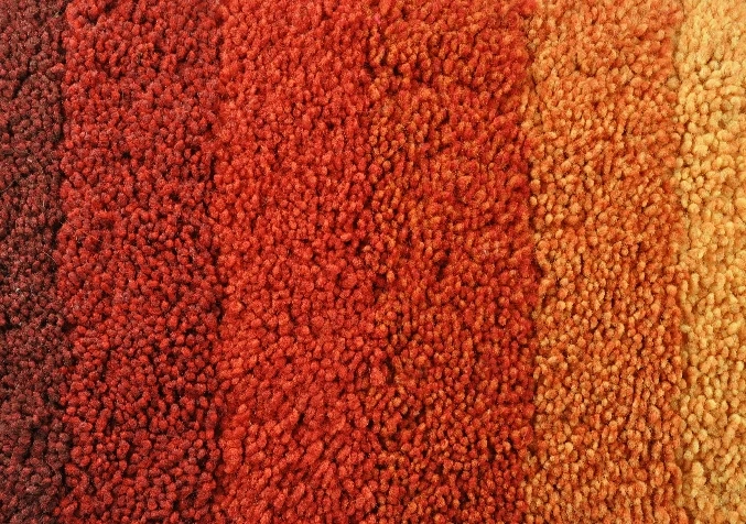 choosing the right coloured carpet