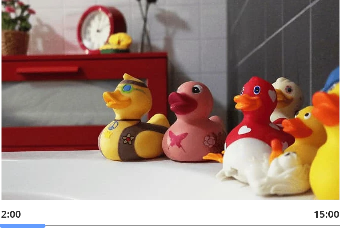 assorted rubber ducks in the bathroom