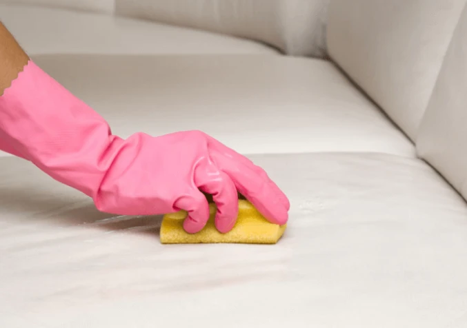 cleaning up stain on sofa