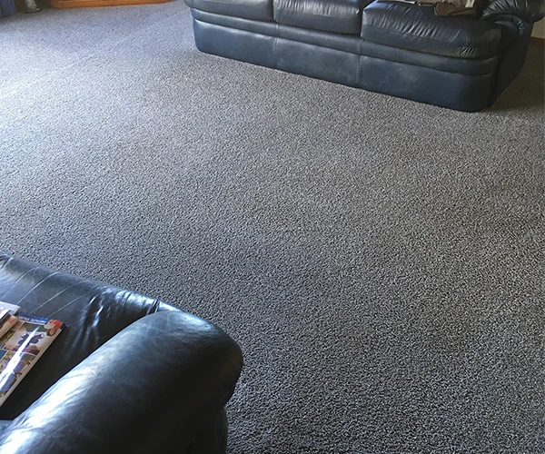 Carpet Cleaning 06 After
