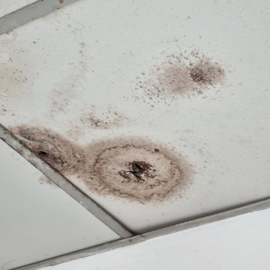 mould removal hervey bay faqs