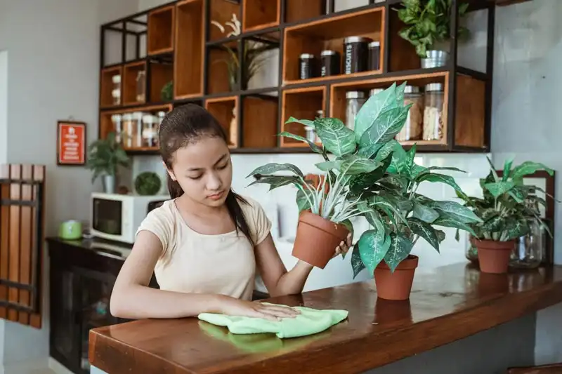 woman adding plants to a rental