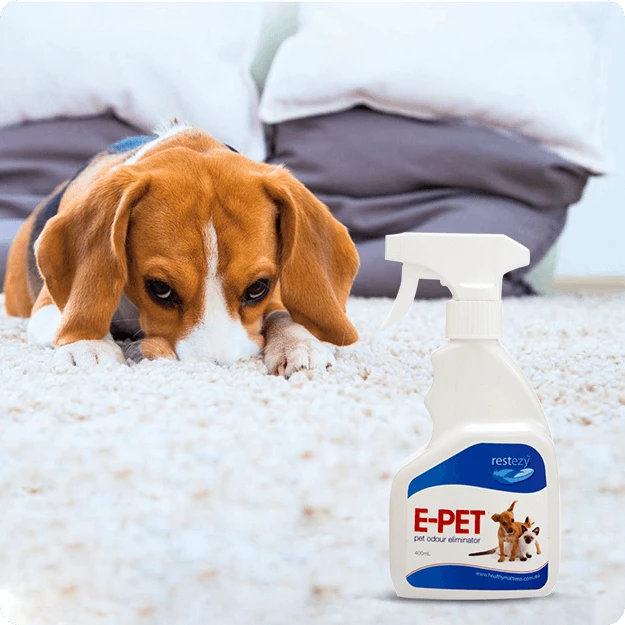 E Pet Product With Dog Behind