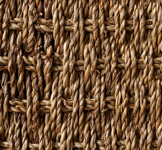 Sisal Rugs