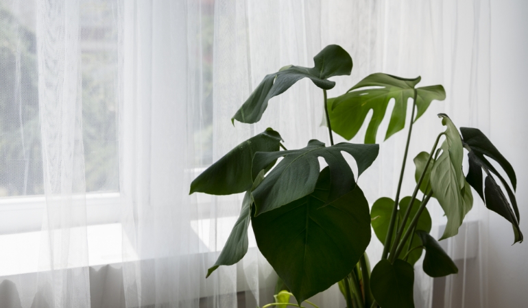 Closing blinds and pre-cooling home in the morning to reduce aircon load.