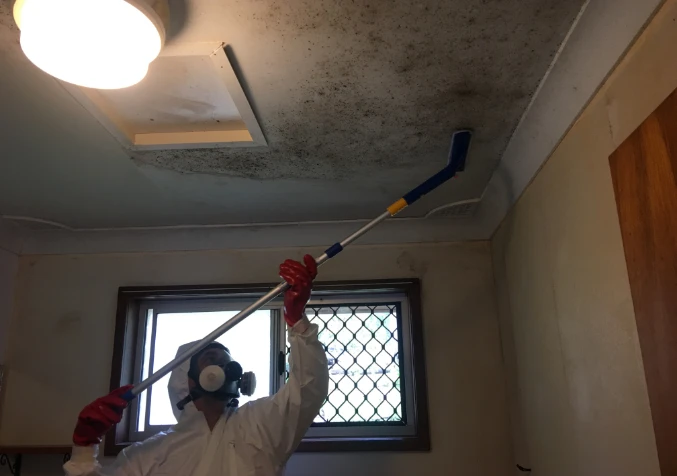 How do I remove large areas of mould?