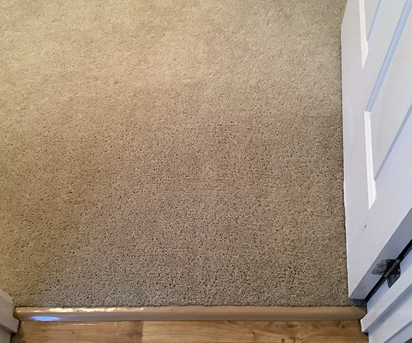 Carpet Cleaning 02 After
