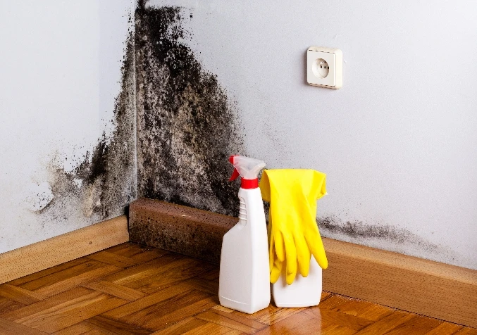 remove mould with white vinegar