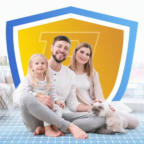 best carpet cleaning newcastle nsw