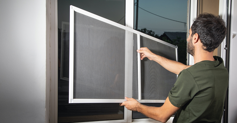 Installing window insect screens to help prevent carpet beetles entering the home.