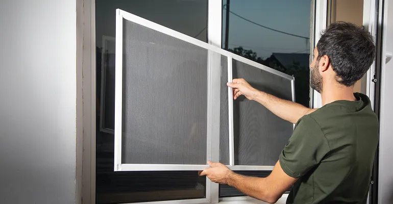 Installing window insect screens to help prevent carpet beetles entering the home.