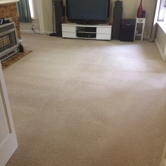 7 Carpet After