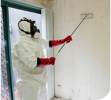 mould cleaning