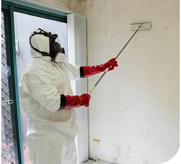 mould cleaning